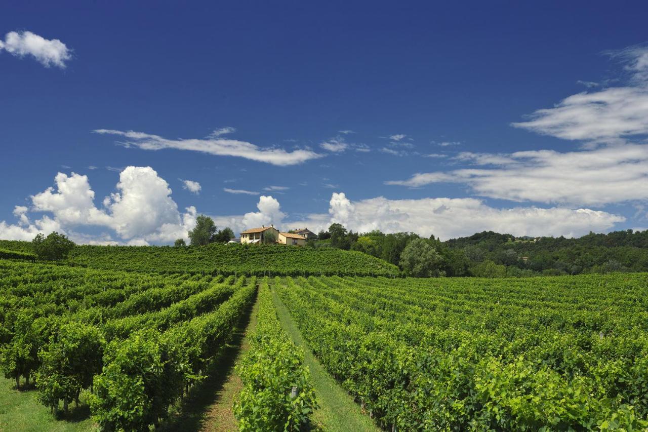 Agriturismo Moro Barel Vittorio Veneto Exterior photo